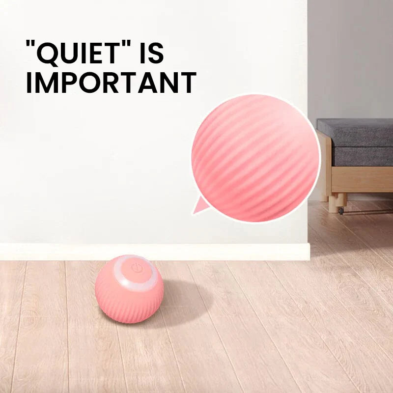 2-in-1 Interactive Hunting Cat Toy