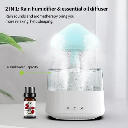 2-in-1 Rain Cloud Humidifier & Night Light