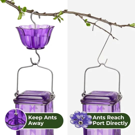 24 oz Leak-Proof Glass Hummingbird Feeder