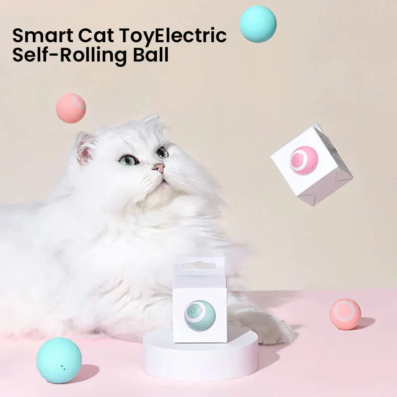 2-in-1 Interactive Hunting Cat Toy