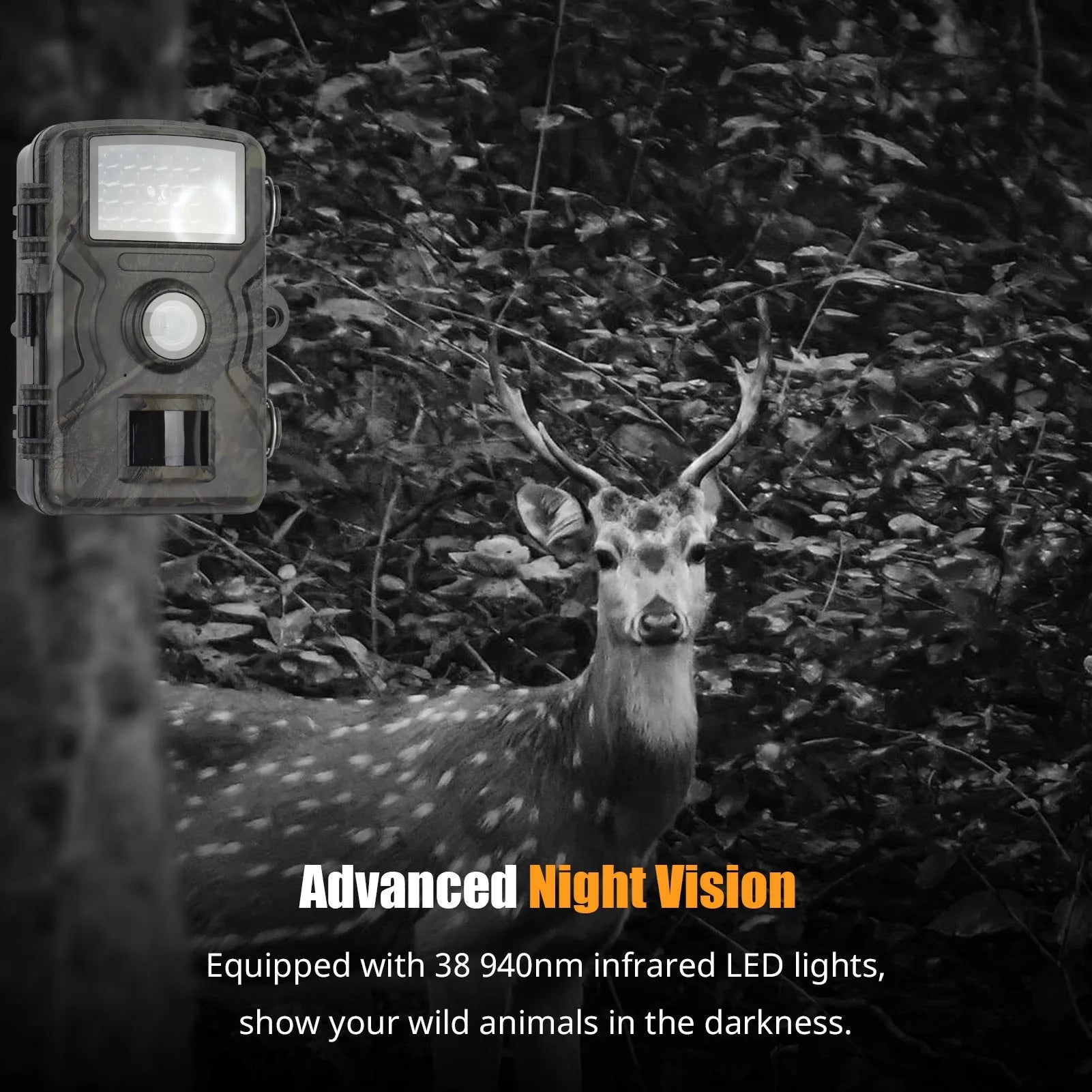 1080p Night Vision Trail Camera
