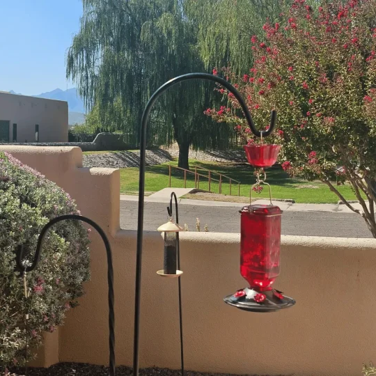 24 oz Leak-Proof Glass Hummingbird Feeder