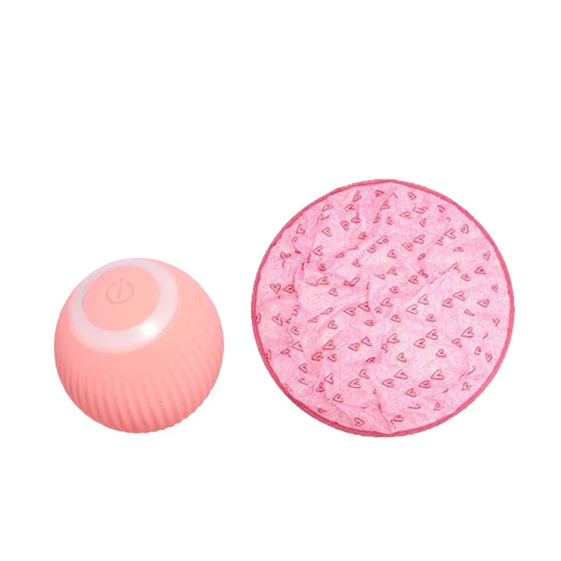 2-in-1 Interactive Hunting Cat Toy