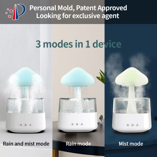 2-in-1 Rain Cloud Humidifier & Night Light