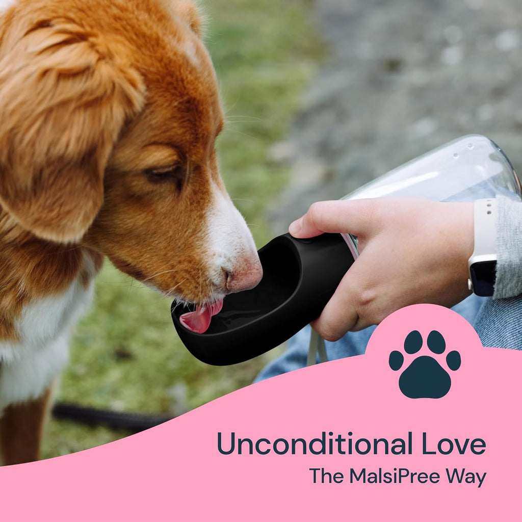 19 oz Portable Dog Water Bottle