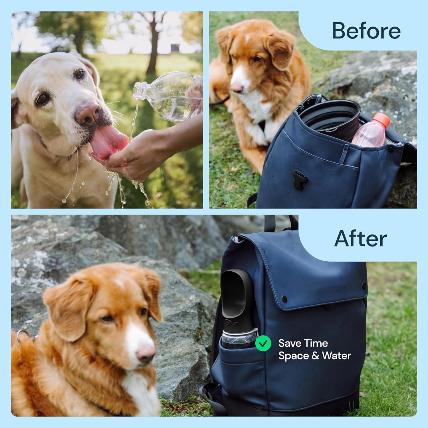 19 oz Portable Dog Water Bottle
