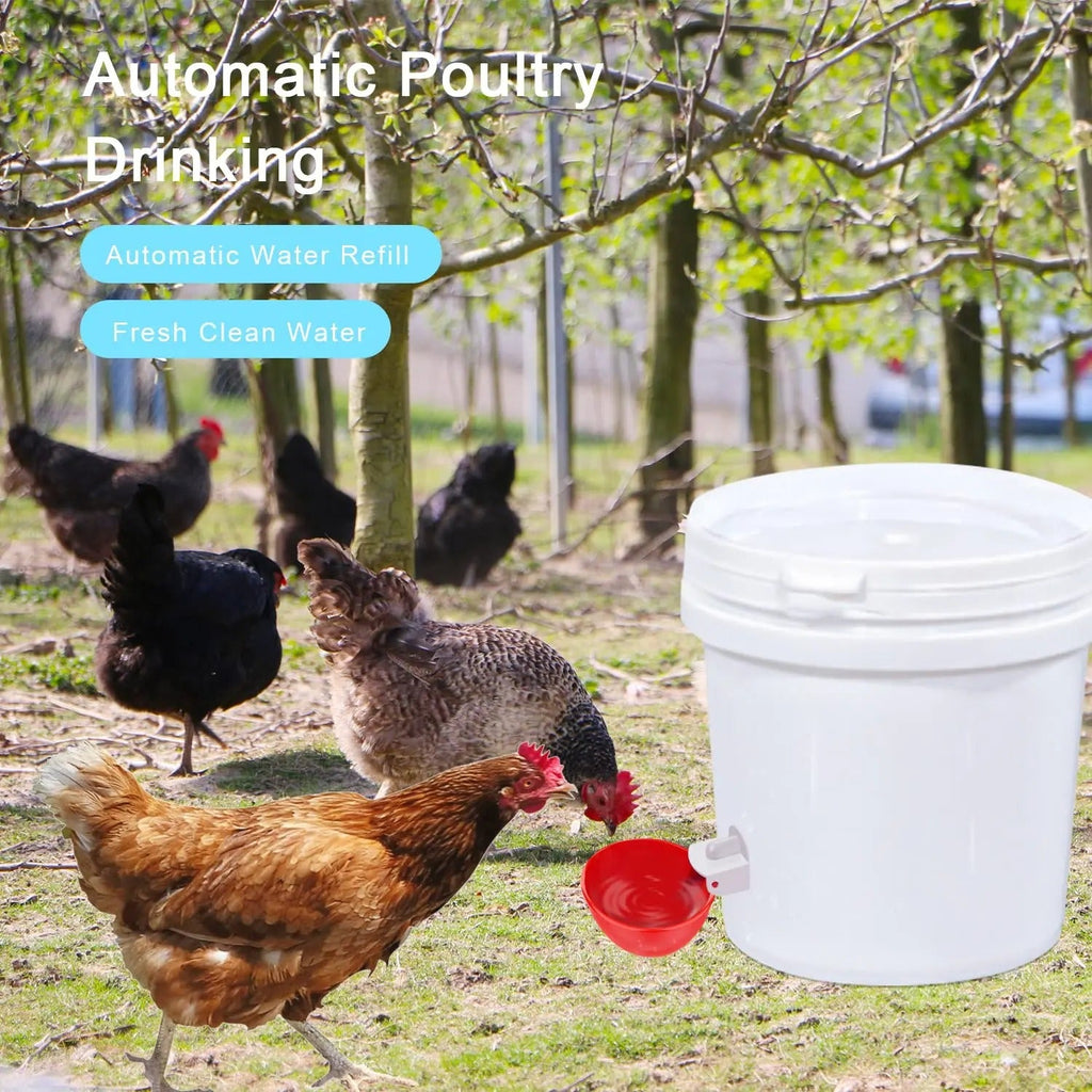 10-Pack Automatic Chicken Waterer Cups