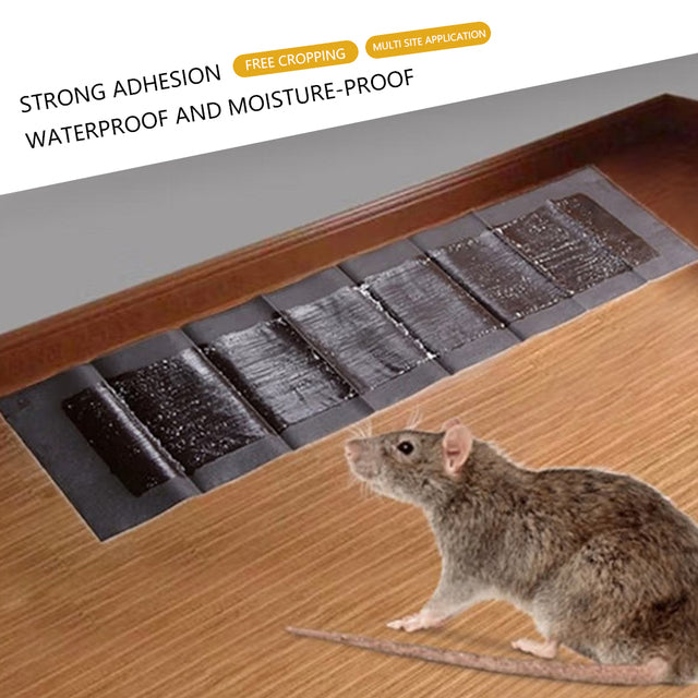 5-Pack Extra-Large Mouse & Rat Glue Pads