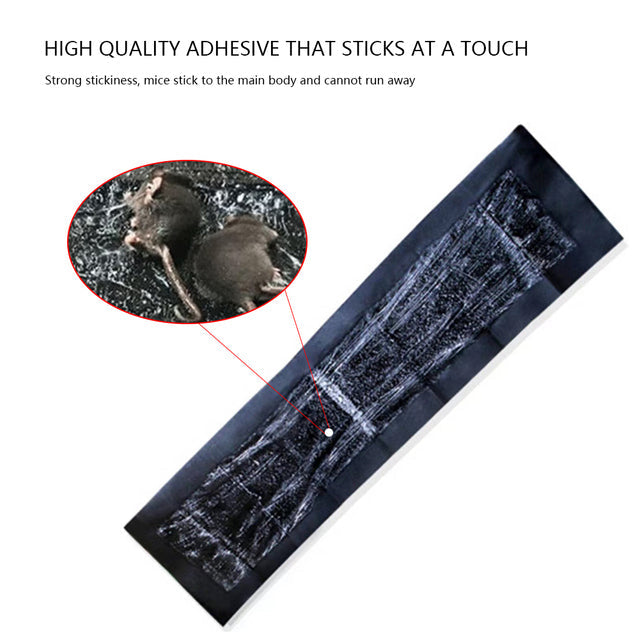 5-Pack Extra-Large Mouse & Rat Glue Pads
