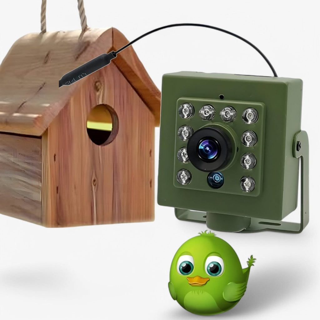 1080p HD Weatherproof Wildlife Camera with Night Vision