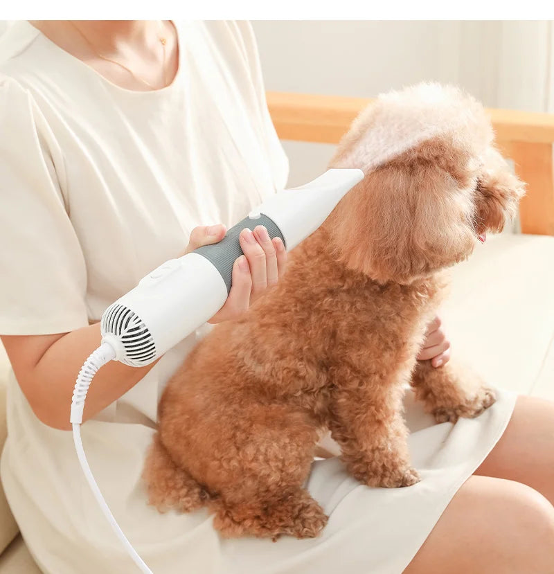 3-in-1 Dog Hair Dryer & Grooming Brush