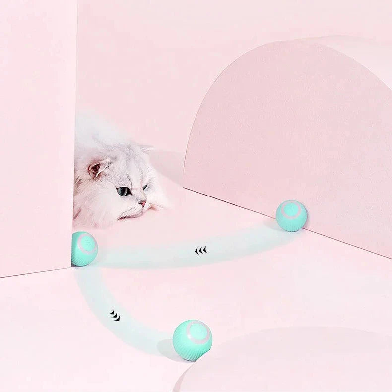 2-in-1 Interactive Hunting Cat Toy
