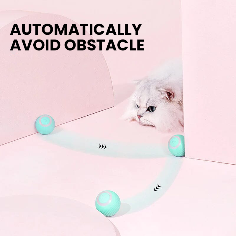 2-in-1 Interactive Hunting Cat Toy