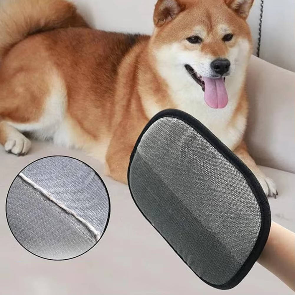 2-Pack Reusable Pet Hair Remover