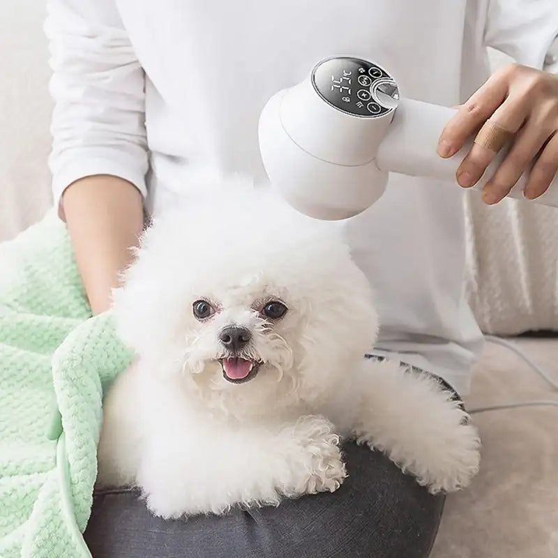 2-in-1 Smart Dog Hair Dryer & Grooming Brush
