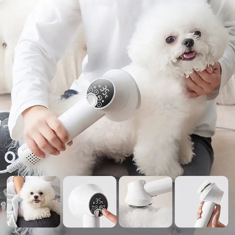 2-in-1 Smart Dog Hair Dryer & Grooming Brush