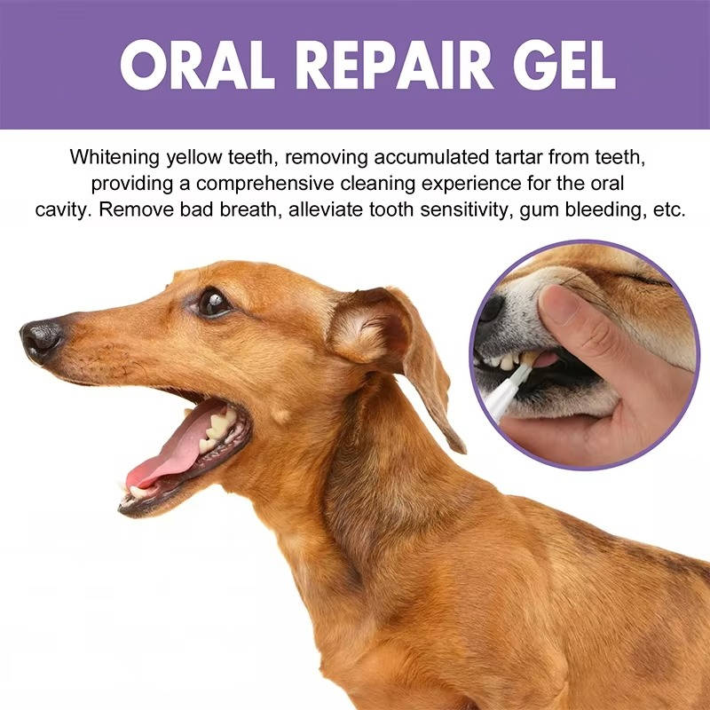 3-Set Dog Oral Care Gel