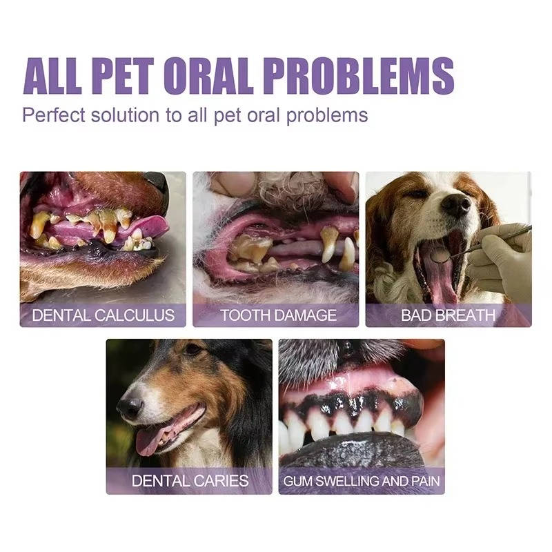 3-Set Dog Oral Care Gel