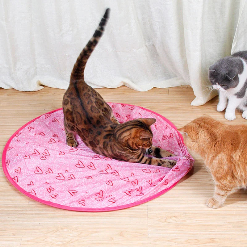 2-in-1 Interactive Hunting Cat Toy