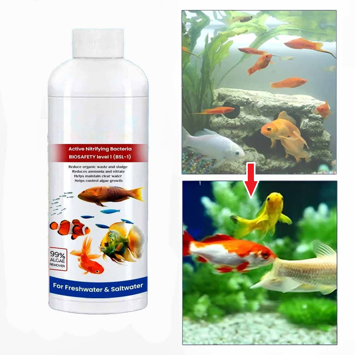 3-Pack Fish Tank Cleaner Liquid