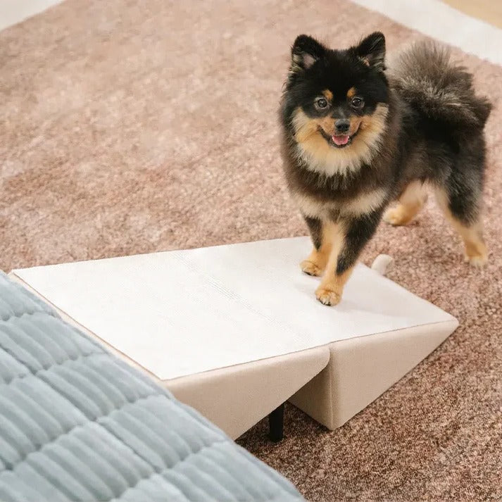 2-in-1 Convertible Dog Ramp & Step Stool