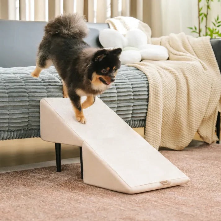 2-in-1 Convertible Dog Ramp & Step Stool