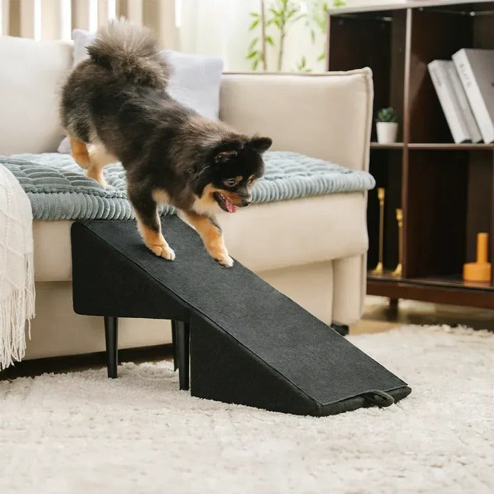2-in-1 Convertible Dog Ramp & Step Stool