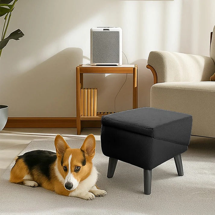 2-in-1 Convertible Dog Ramp & Step Stool