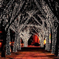 17m Solar-Powered Fairy Lights (100 LED)