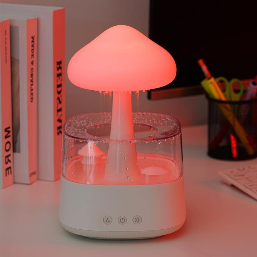 2-in-1 Rain Cloud Humidifier & Night Light