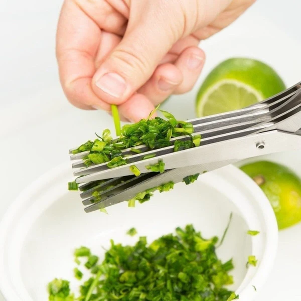 5-Blade Kitchen Herb & Salad Scissors